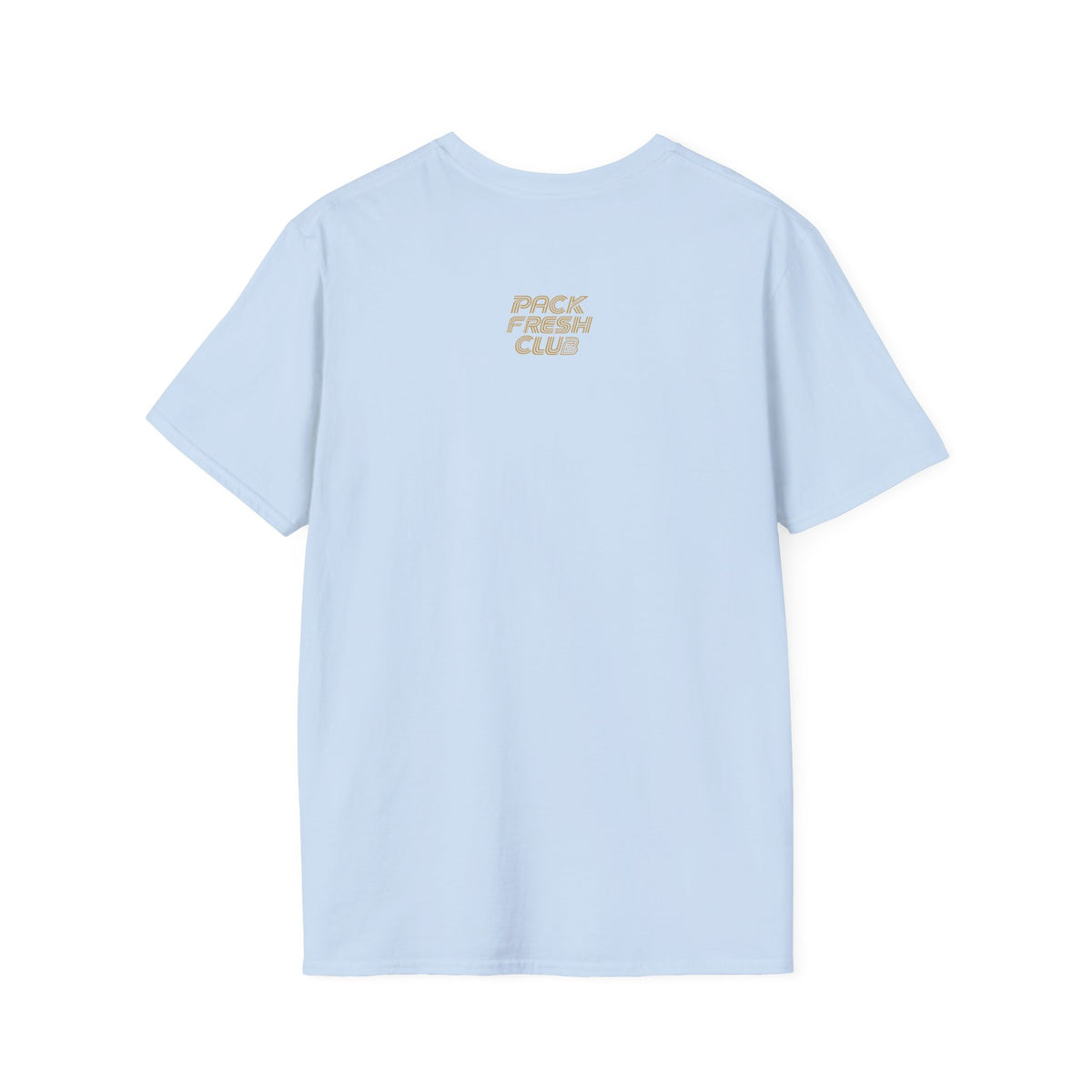 Rip Responsibly T-shirt in Light Blue, back flat view
